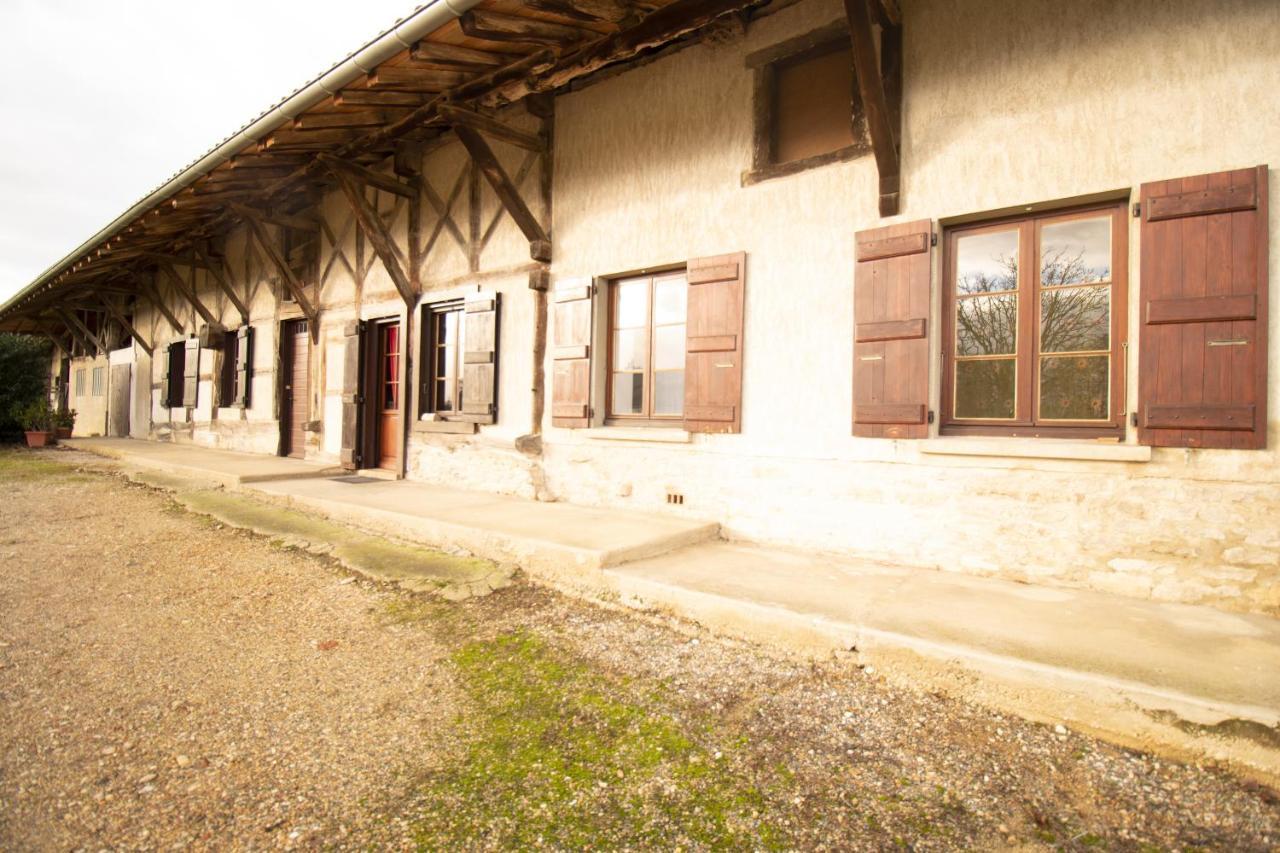 Ferme Bressane - 4 Chambres Saint-Etienne-du-Bois  외부 사진